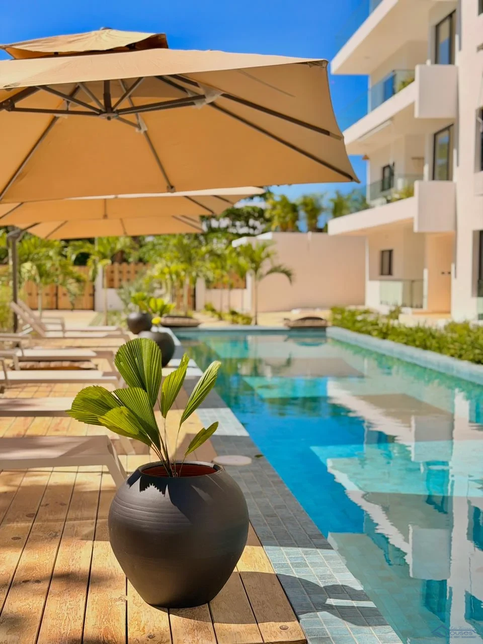 Palmares I | Apartments for Sale in Punta Popy Las Terrenas · Foto 4