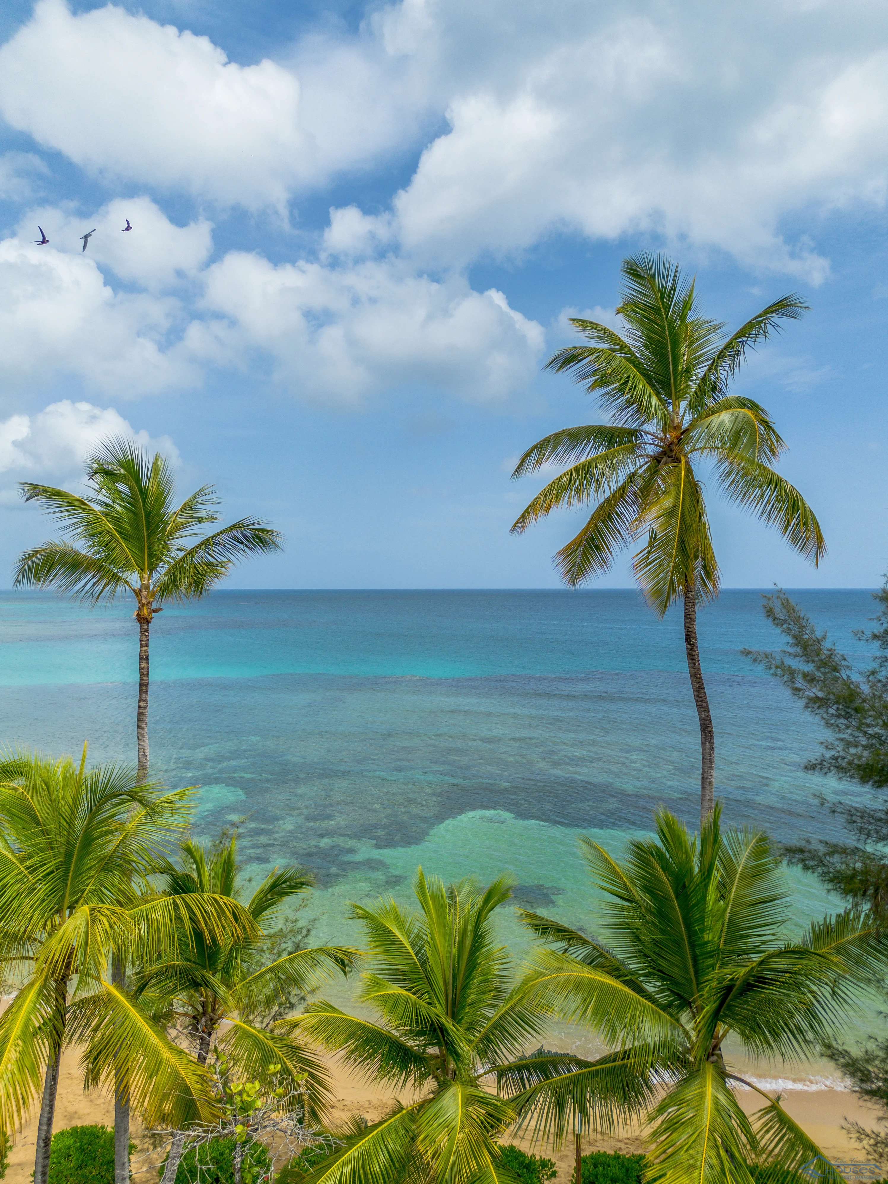 Beachfront Condo Rental”, “3 Bedroom Vacation Rental” o “Playa Punta Popy