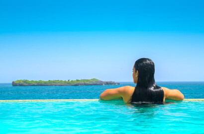 INVESTMENT PROCESS GUIDE