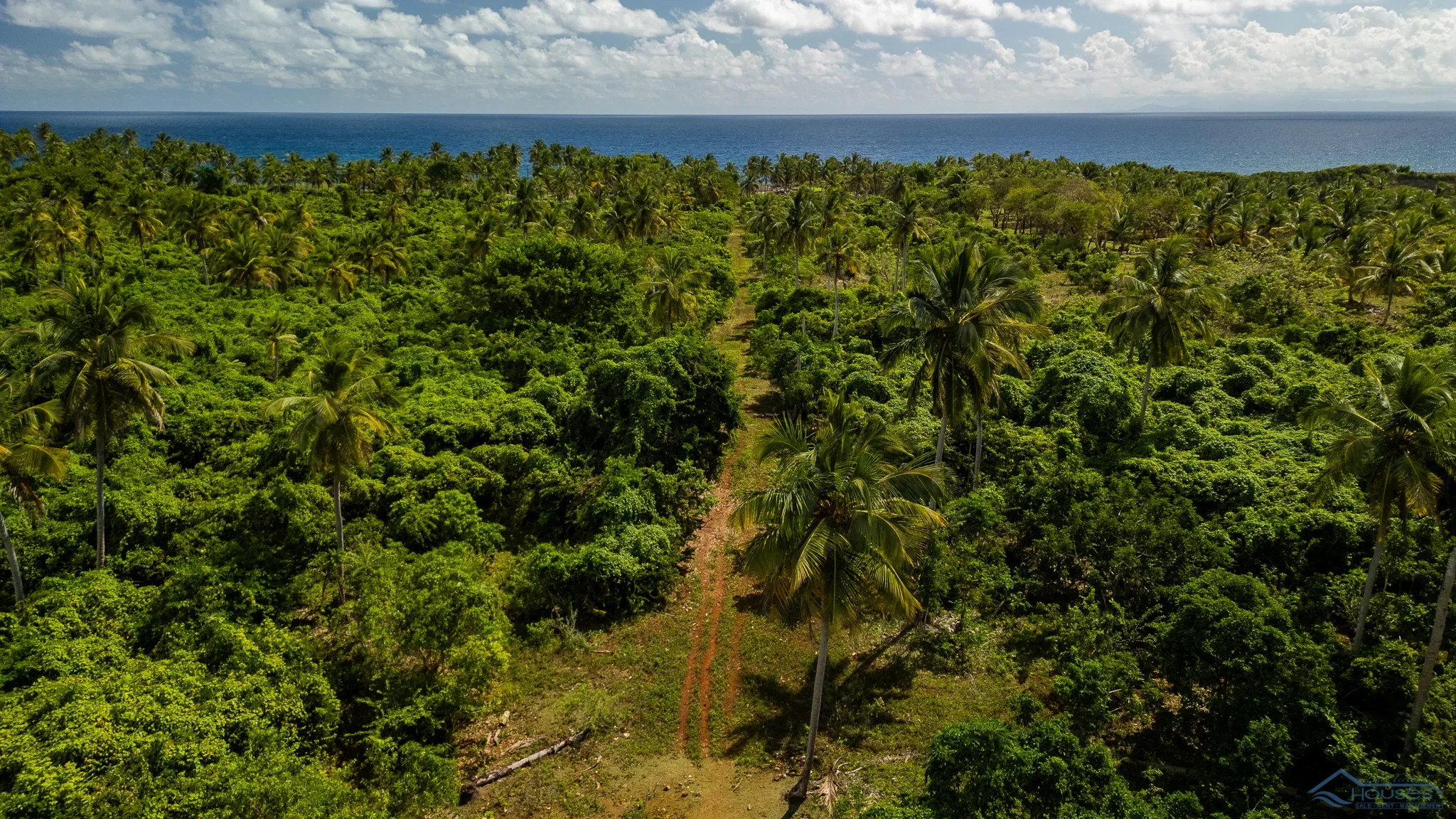 Oceanfront Land for Sale in Las Galeras, Samana