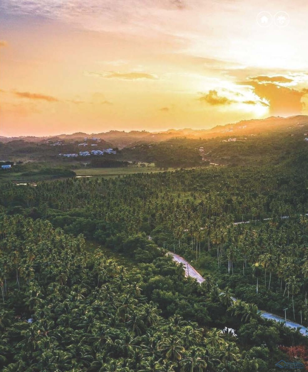 Gran Coson Residences: Sustainable Luxury on Playa Coson